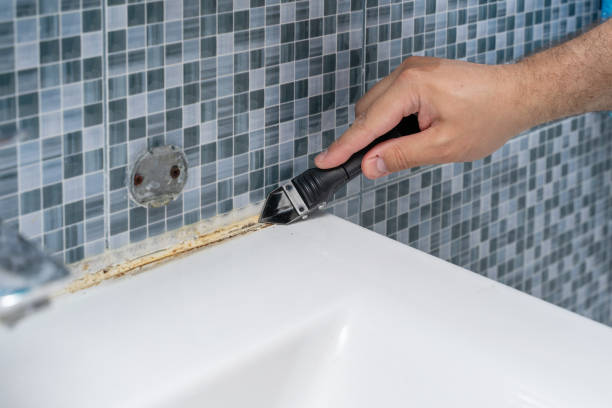 Best Black Mold Removal  in Bound Brook, NJ