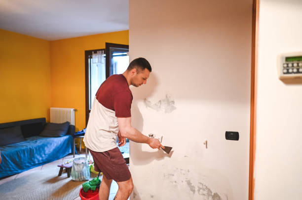 Best Attic Mold Removal  in Bound Brook, NJ